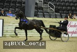 24BUCK_00742 thumbnail
