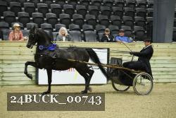 24BUCK_00743 thumbnail