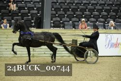 24BUCK_00744 thumbnail