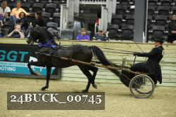 24BUCK_00745 thumbnail