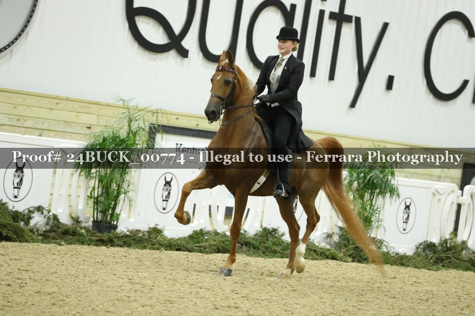 Proof Number 24BUCK_00774