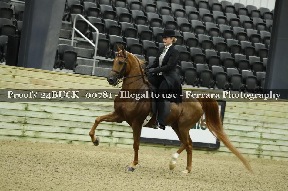 Proof Number 24BUCK_00781