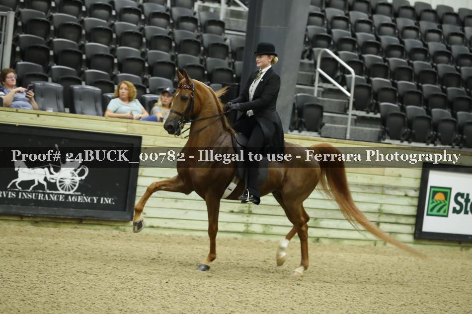 Proof Number 24BUCK_00782