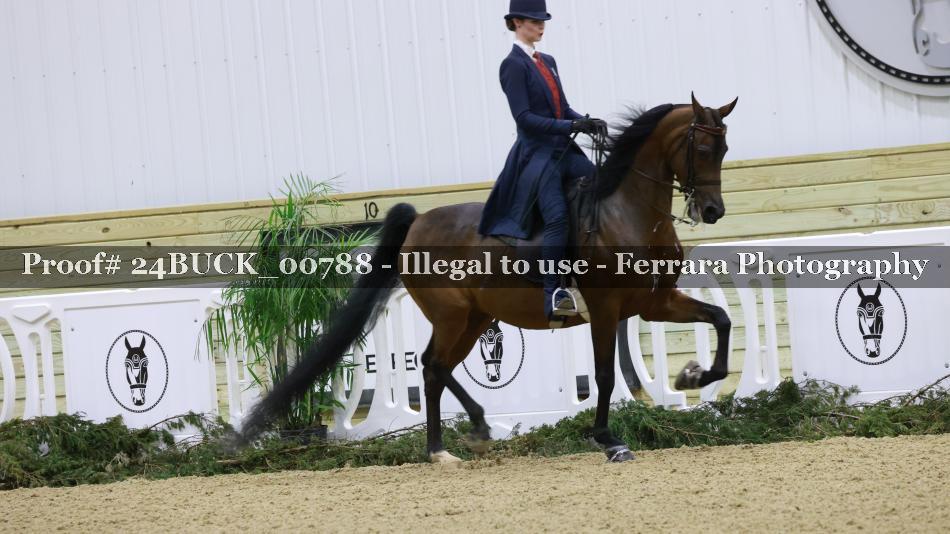 Proof Number 24BUCK_00788