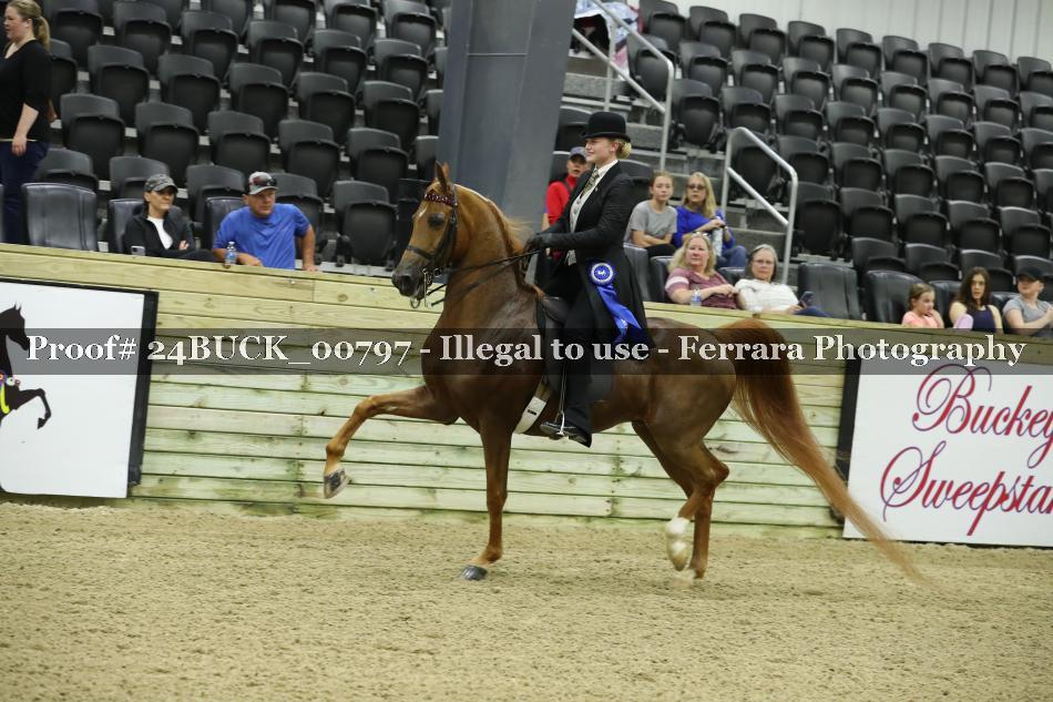 Proof Number 24BUCK_00797