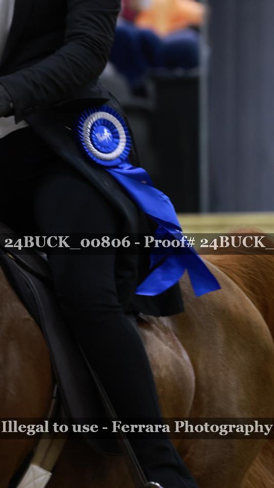 Proof Number 24BUCK_00806