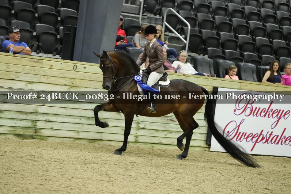 Proof Number 24BUCK_00832