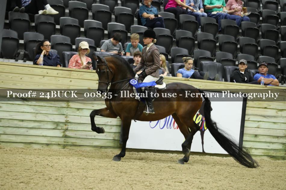 Proof Number 24BUCK_00835