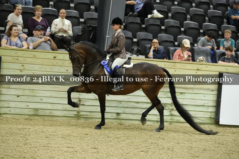 Proof Number 24BUCK_00836