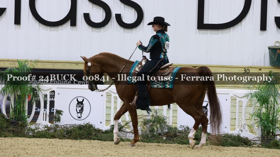 Proof Number 24BUCK_00841