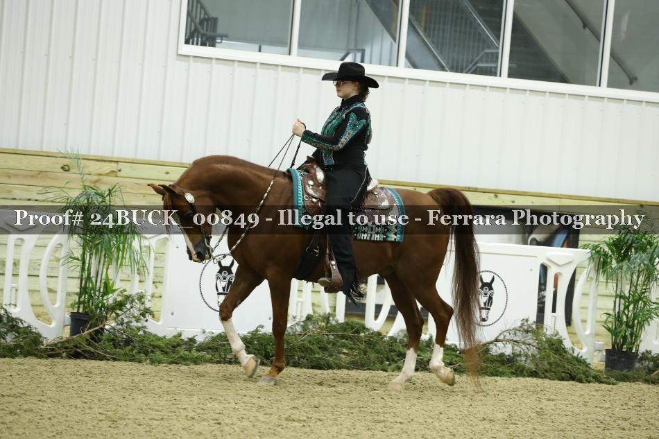Proof Number 24BUCK_00849