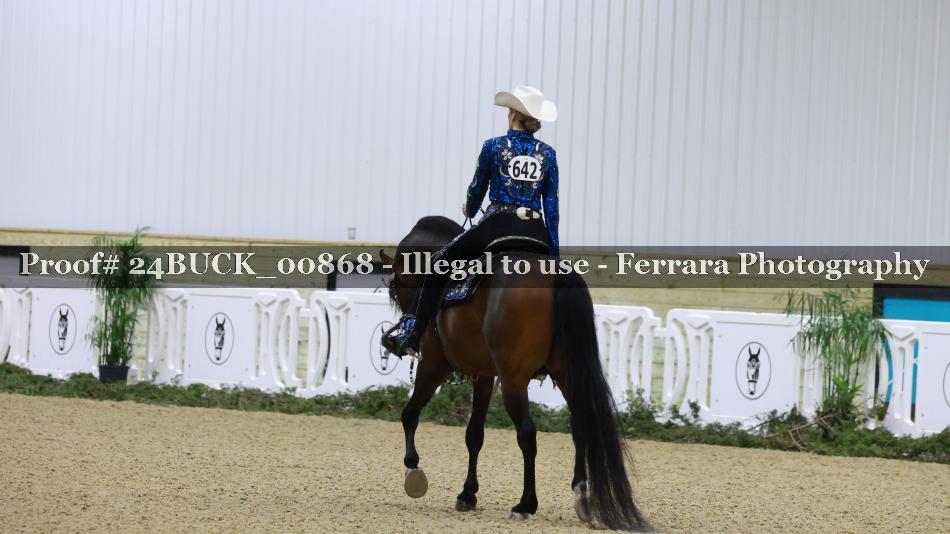 Proof Number 24BUCK_00868