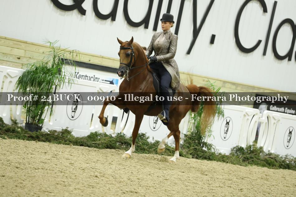 Proof Number 24BUCK_00910