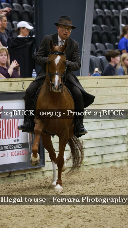 Proof Number 24BUCK_00913