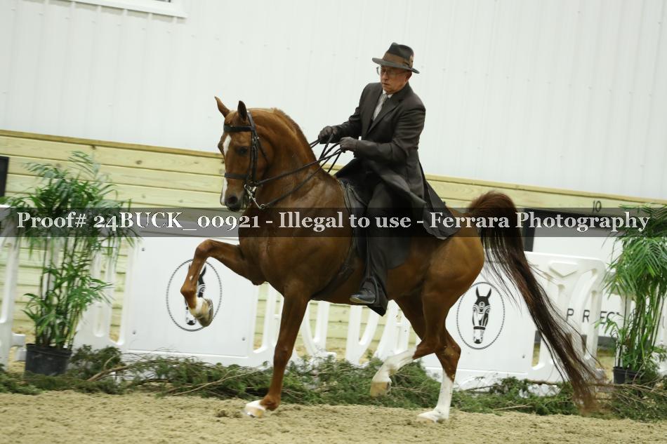 Proof Number 24BUCK_00921