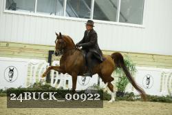 24BUCK_00922 thumbnail