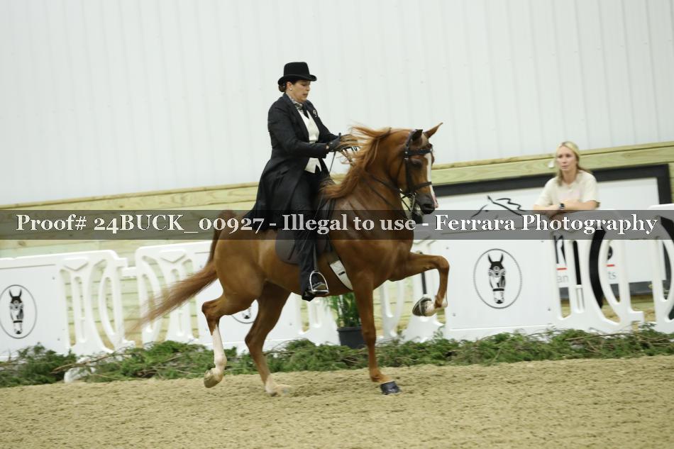 Proof Number 24BUCK_00927