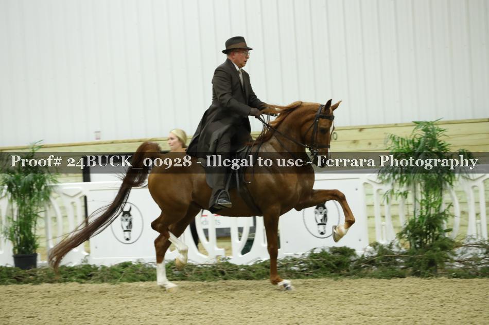Proof Number 24BUCK_00928