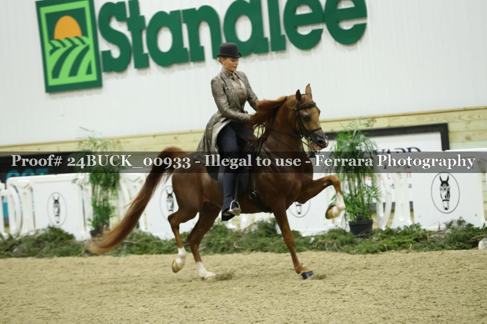 Proof Number 24BUCK_00933