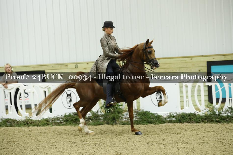 Proof Number 24BUCK_00934