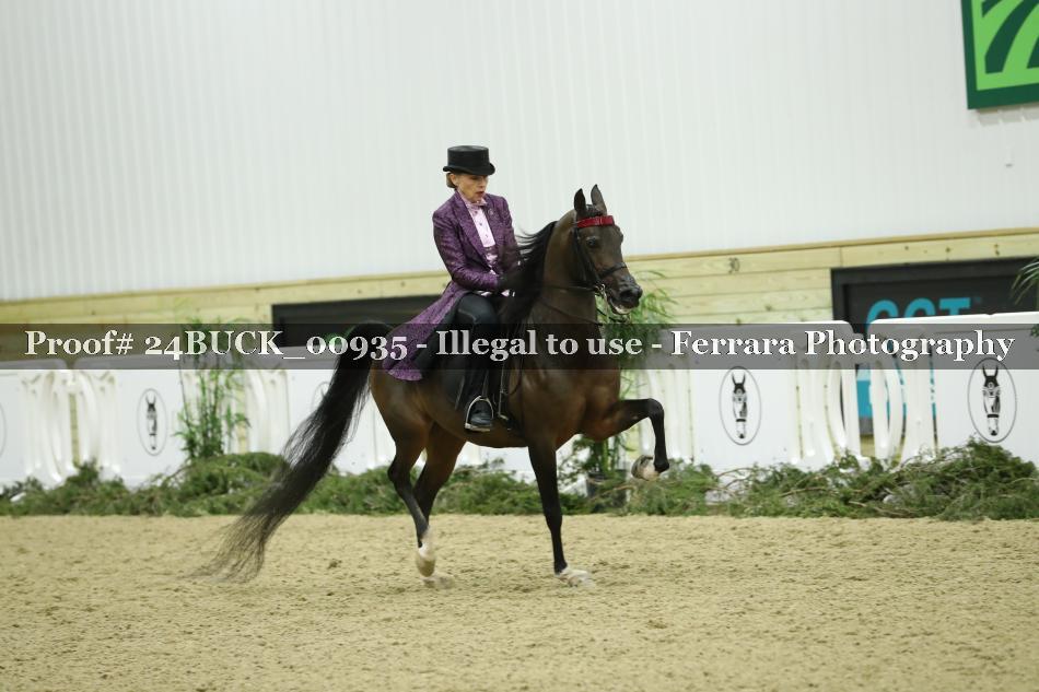 Proof Number 24BUCK_00935