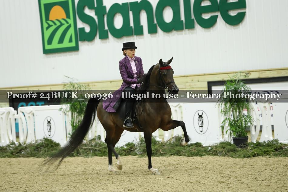 Proof Number 24BUCK_00936