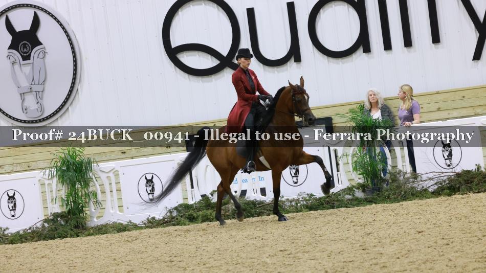 Proof Number 24BUCK_00941