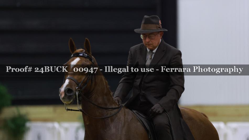 Proof Number 24BUCK_00947