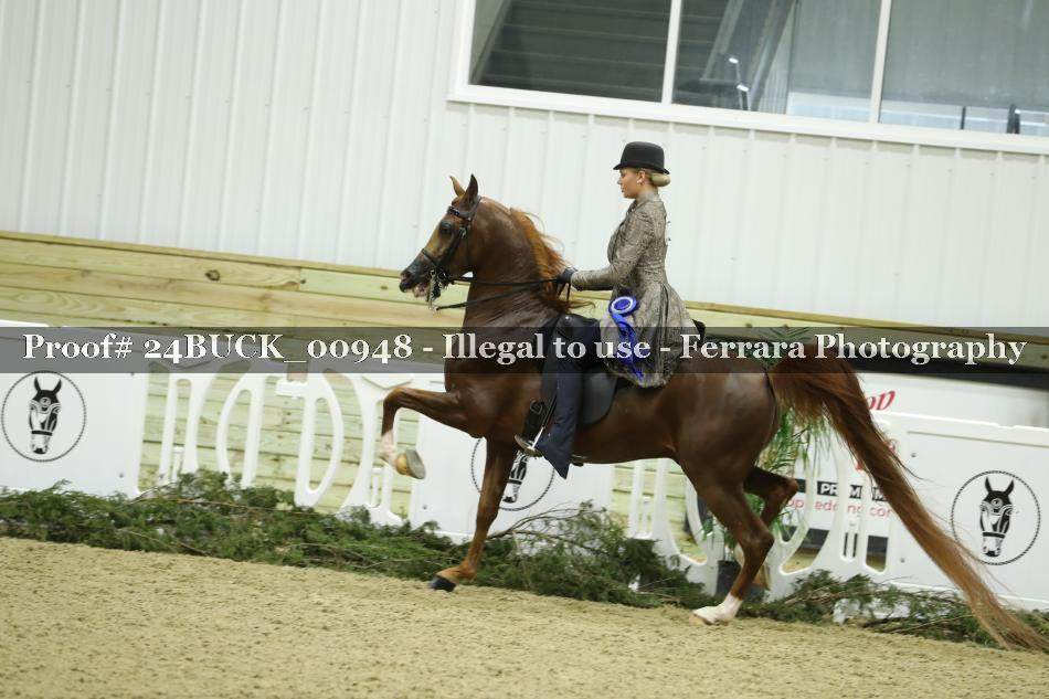 Proof Number 24BUCK_00948