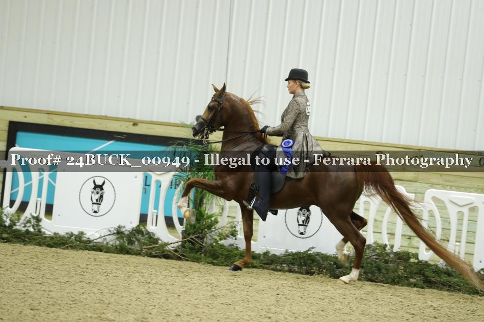Proof Number 24BUCK_00949
