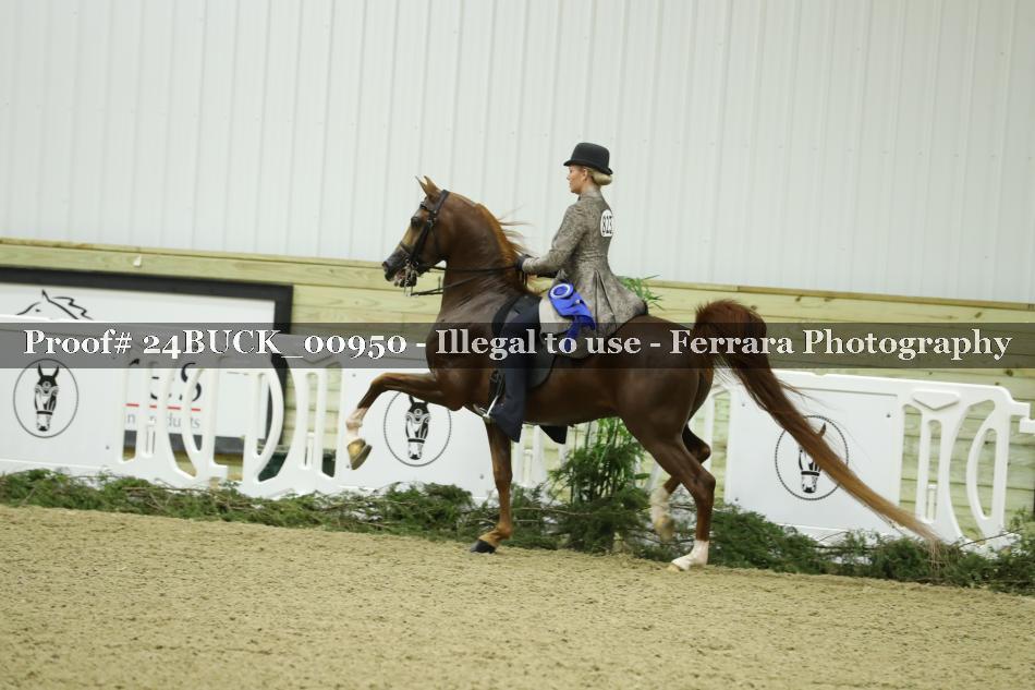 Proof Number 24BUCK_00950