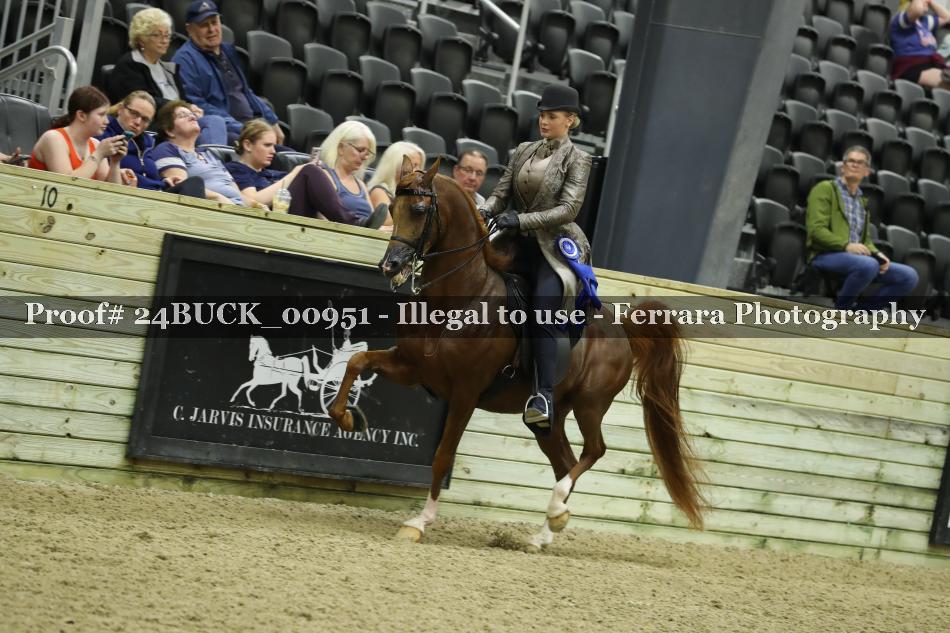 Proof Number 24BUCK_00951