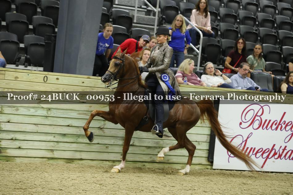 Proof Number 24BUCK_00953