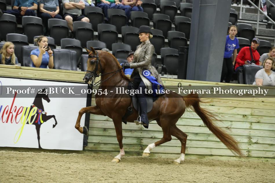 Proof Number 24BUCK_00954