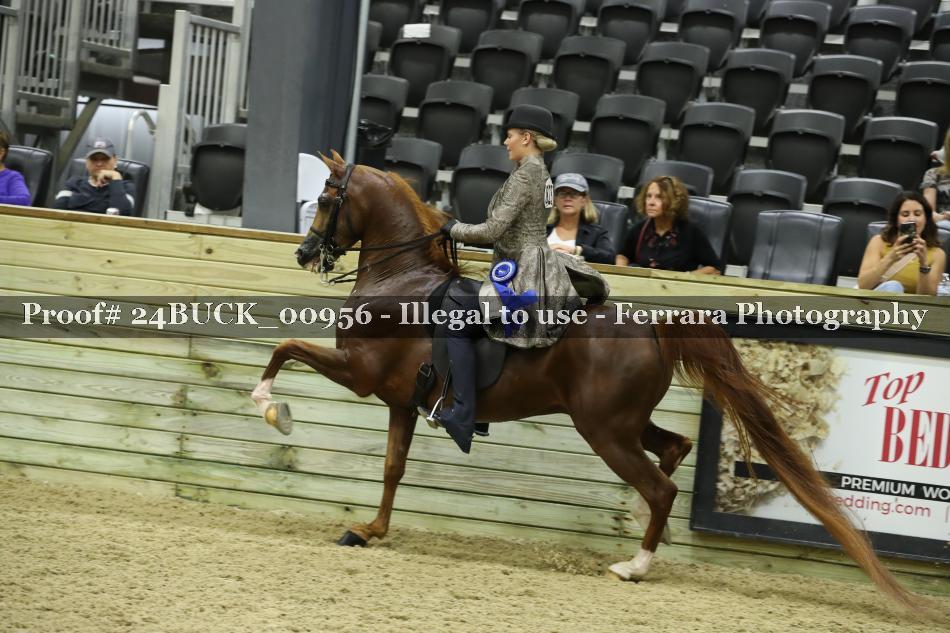 Proof Number 24BUCK_00956