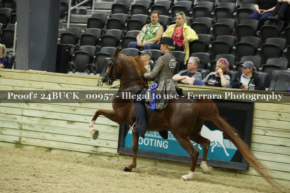 Proof Number 24BUCK_00957