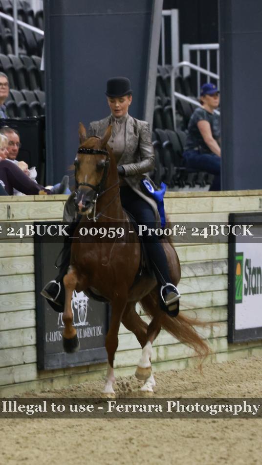 Proof Number 24BUCK_00959