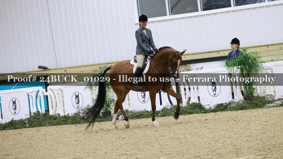 Proof Number 24BUCK_01029