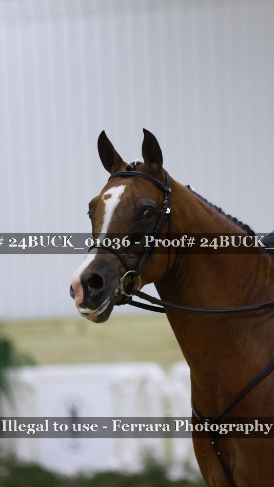 Proof Number 24BUCK_01036