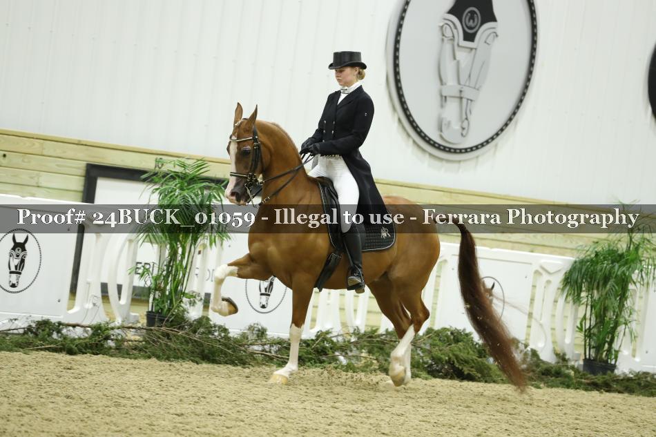 Proof Number 24BUCK_01059