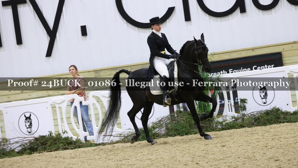 Proof Number 24BUCK_01086