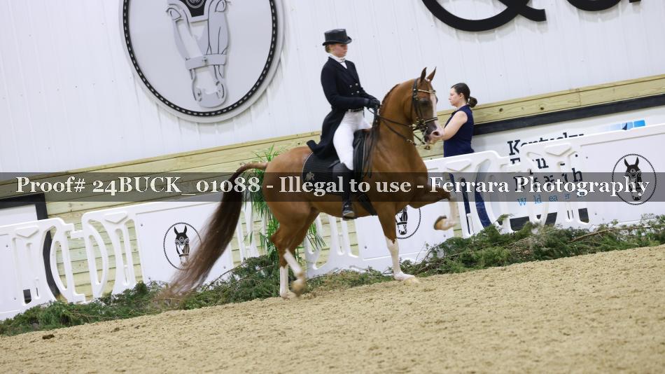 Proof Number 24BUCK_01088