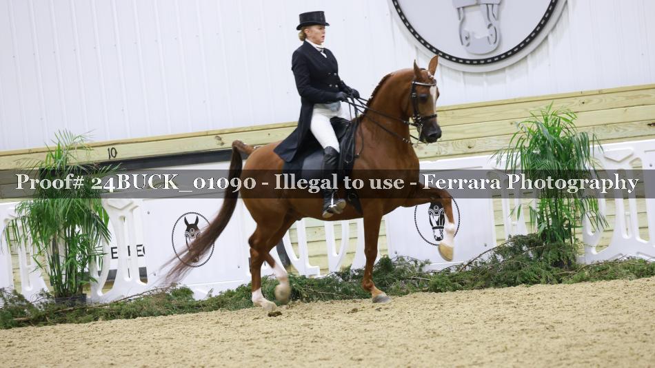 Proof Number 24BUCK_01090