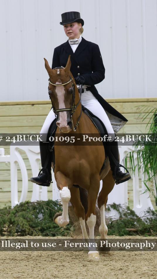 Proof Number 24BUCK_01095