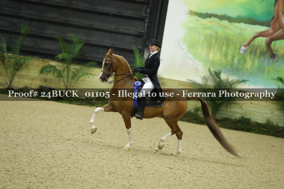 Proof Number 24BUCK_01105