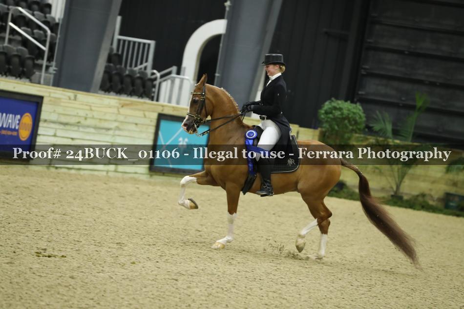 Proof Number 24BUCK_01106