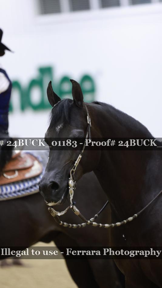 Proof Number 24BUCK_01183