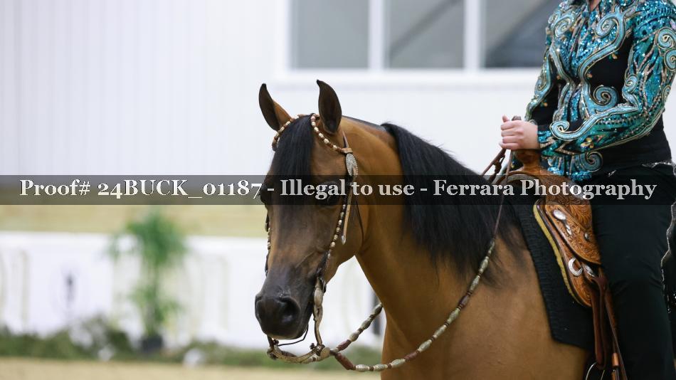 Proof Number 24BUCK_01187