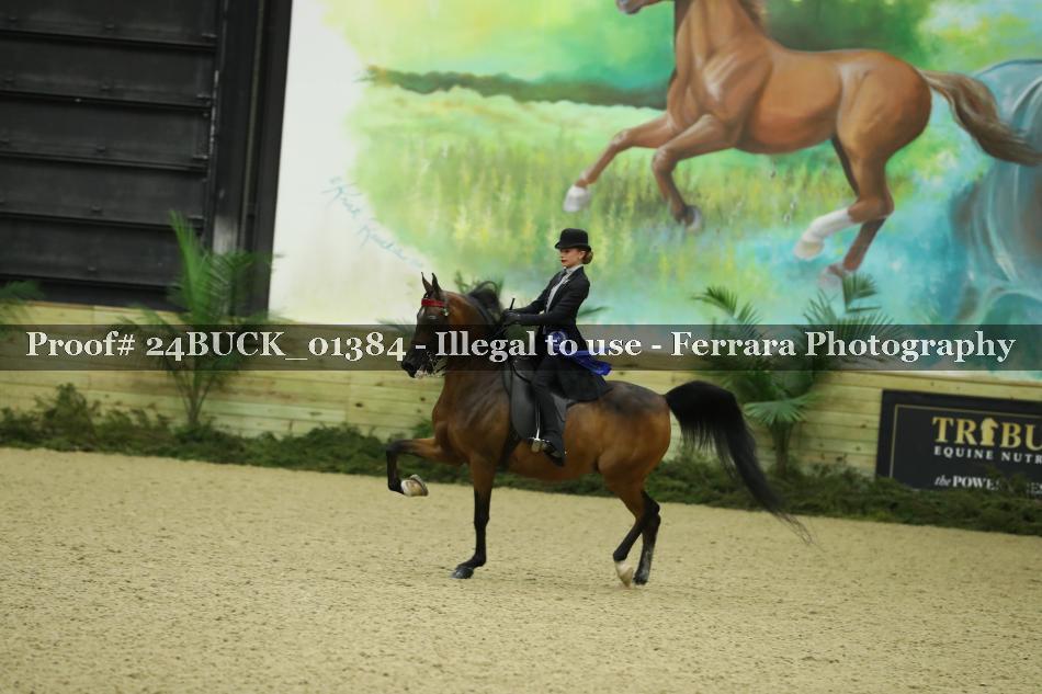 Proof Number 24BUCK_01384