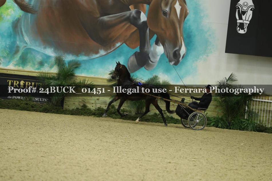 Proof Number 24BUCK_01451